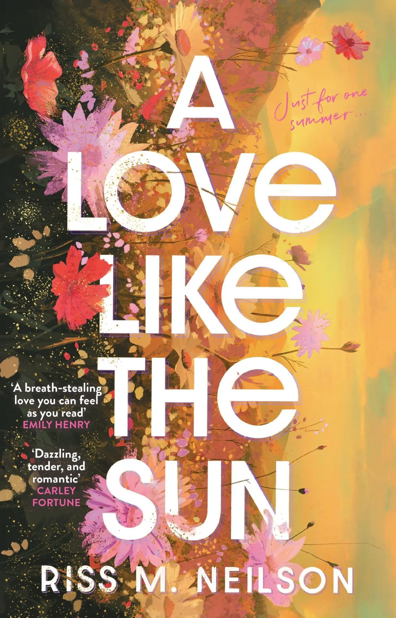 Cover: 9781398721654 | A Love Like the Sun | The tender and unforgettable romantic debut